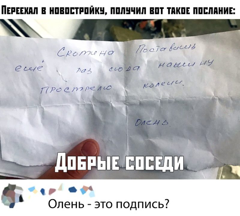 Прикольные картинки