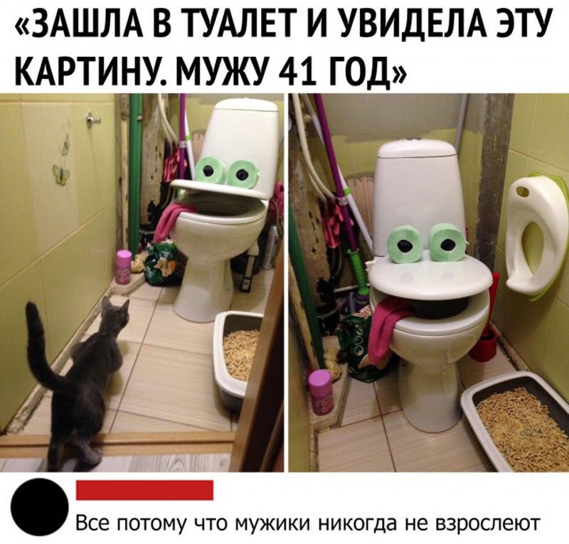 Прикольные картинки