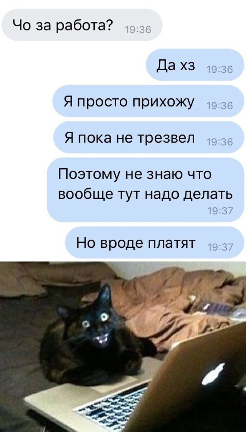 Прикольные картинки