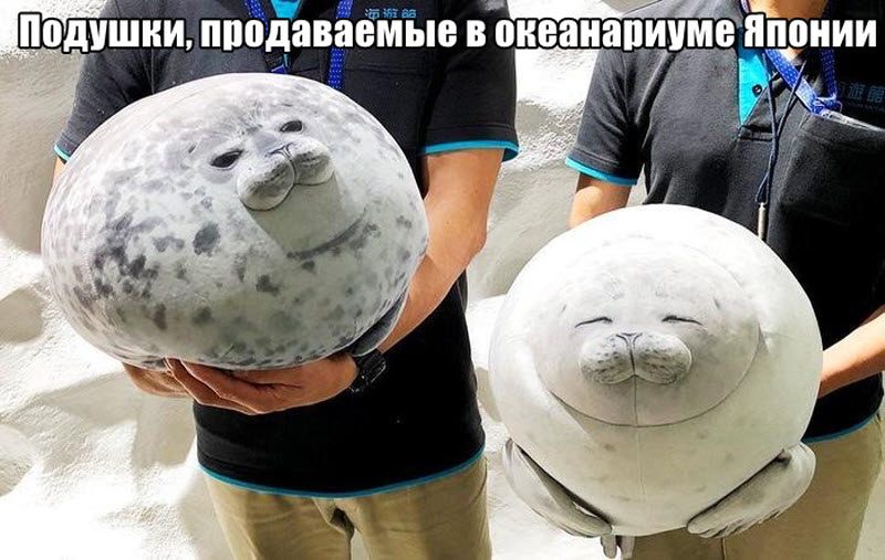 Прикольные картинки