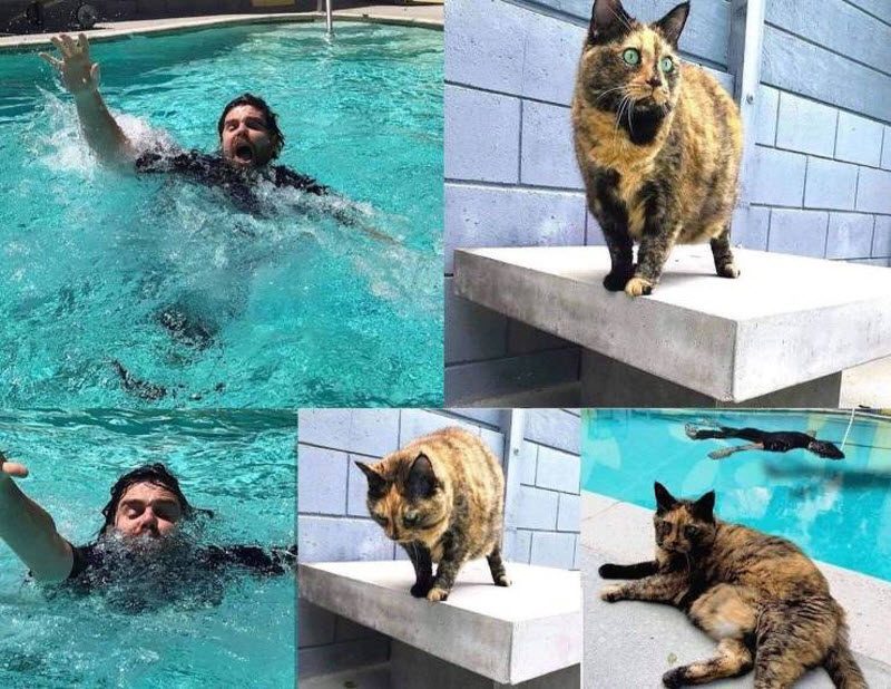 Прикольные картинки