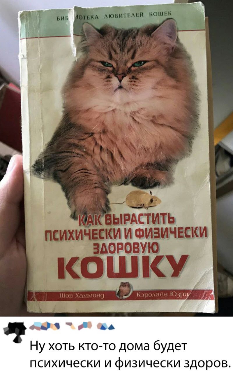Прикольные картинки
