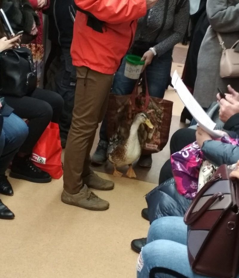 Модники из российского метрополитена