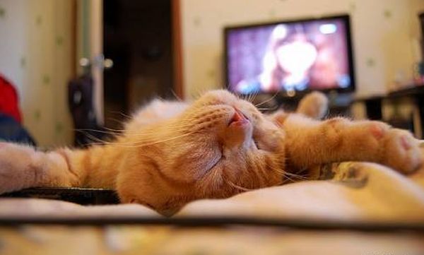 То, без чего настоящая осень невозможна То, без чего настоящая осень невозможна