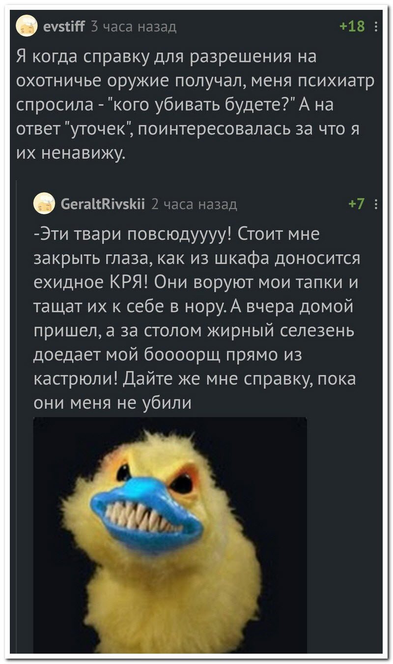 Забавные комментарии из социальных сетей