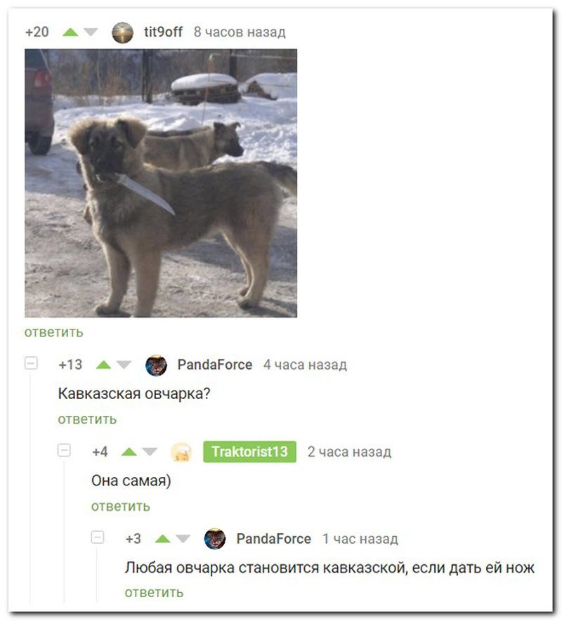 Забавные комментарии из социальных сетей