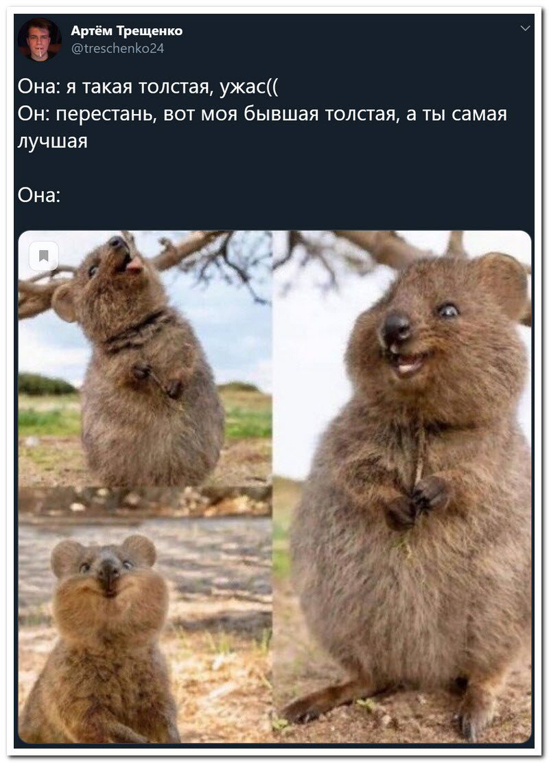 Забавные комментарии из социальных сетей