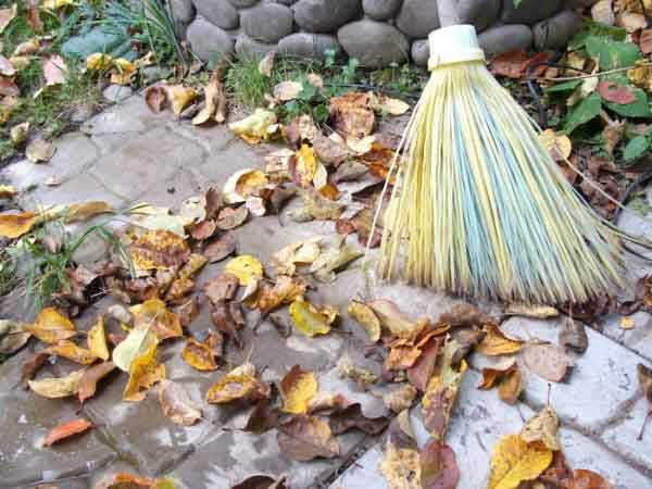 Подлинные истории о воскрешении из мёртвых Подлинные истории о воскрешении из мёртвых