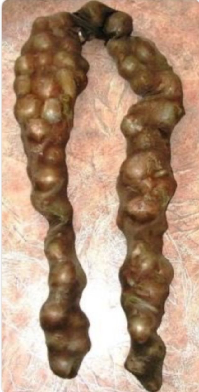 Американцы показали инновационную стиральную машинку. Россияне узнали в ней кое-что родное