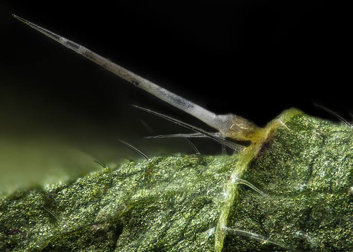 Удивительные фото природы, которые не мешало бы добавить в школьные учебники Удивительные фото природы, которые не мешало бы добавить в школьные учебники