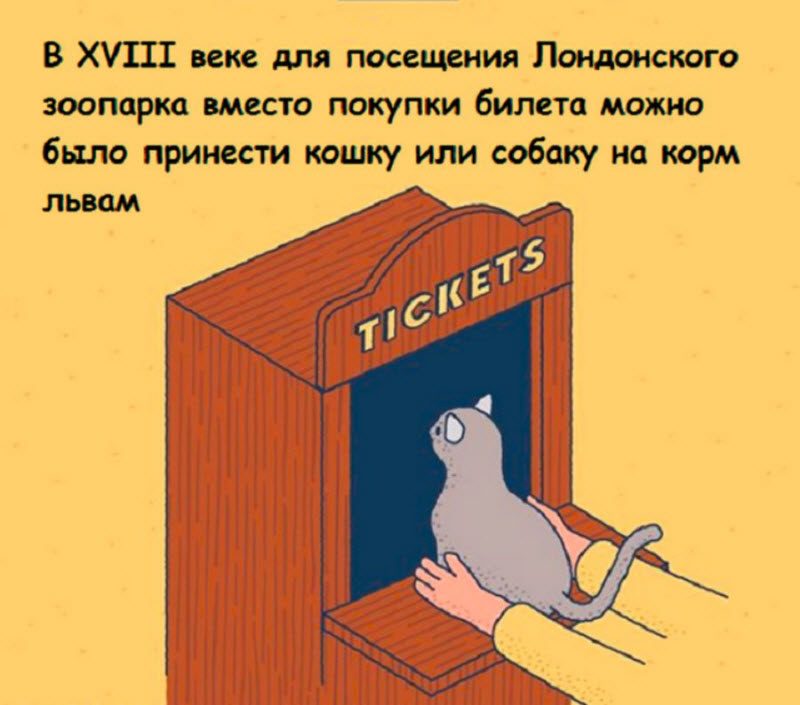 Интересные факты в картинках