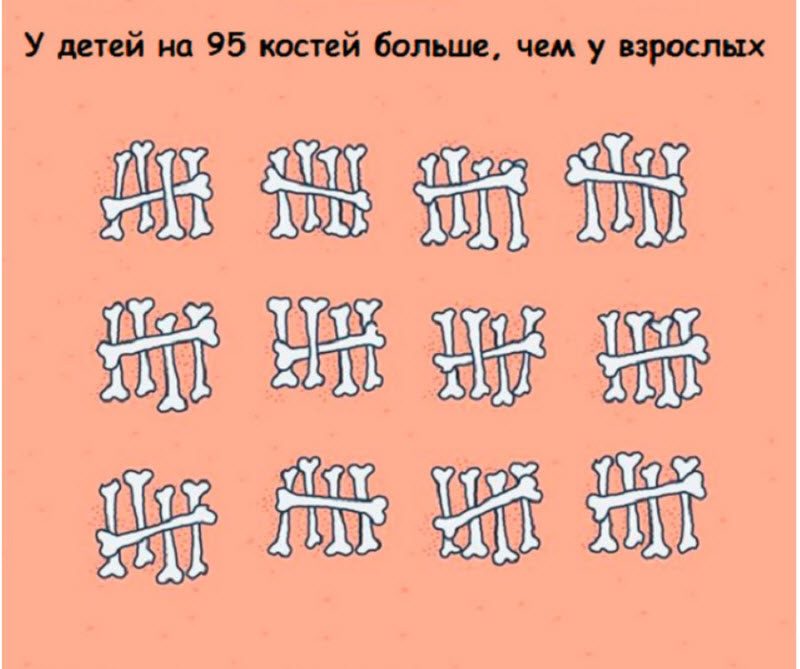 Интересные факты в картинках