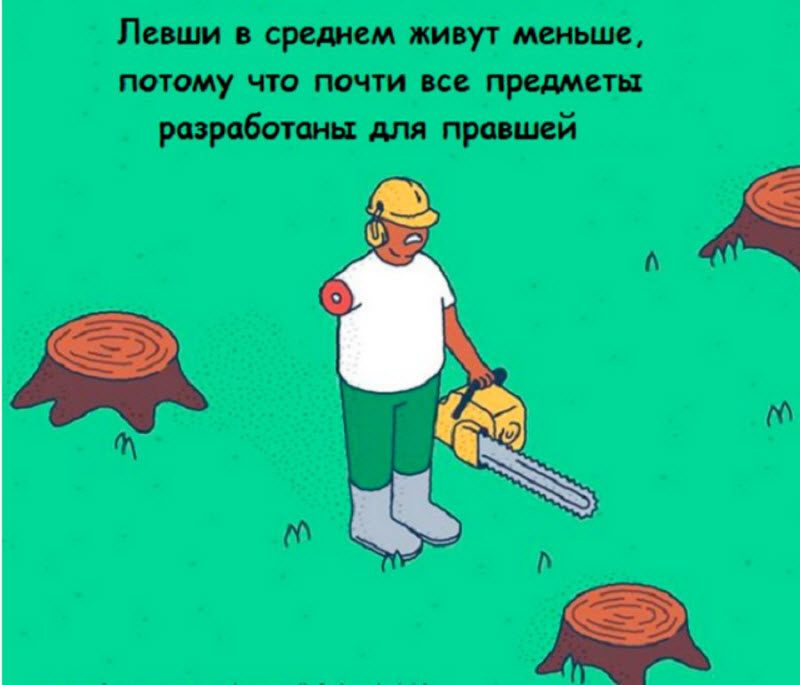 Интересные факты в картинках