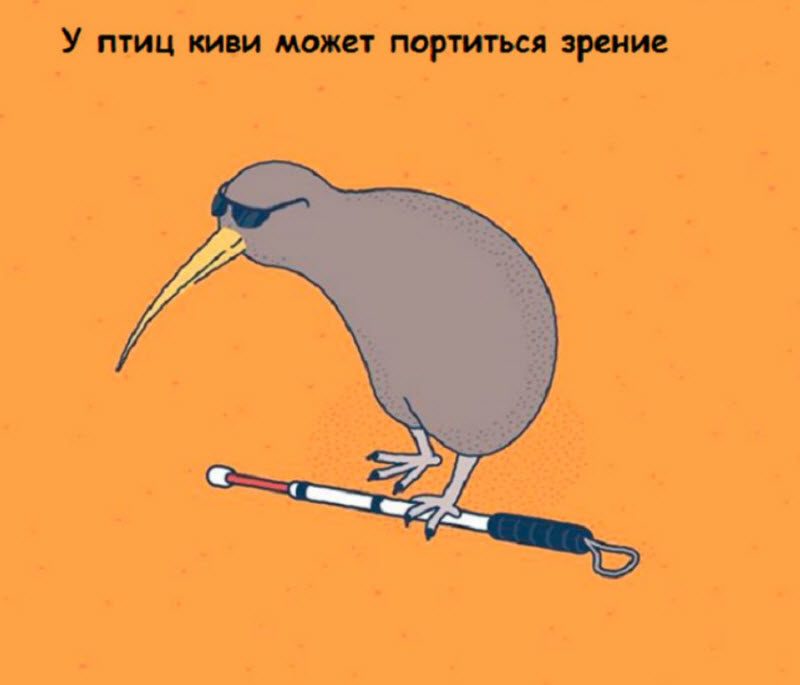 Интересные факты в картинках