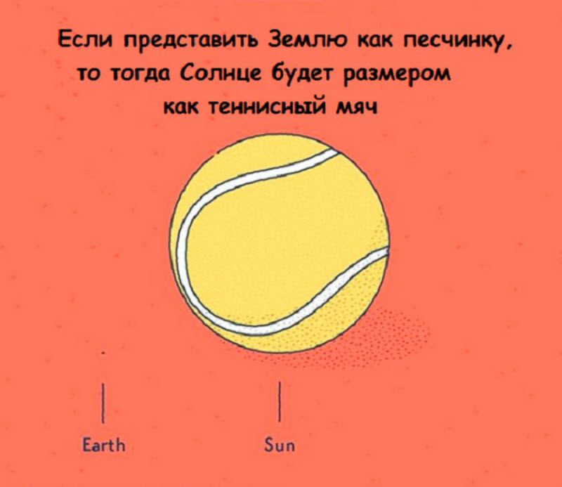 Интересные факты в картинках
