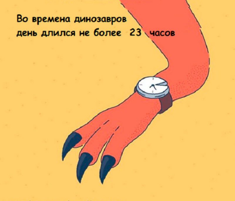 Интересные факты в картинках