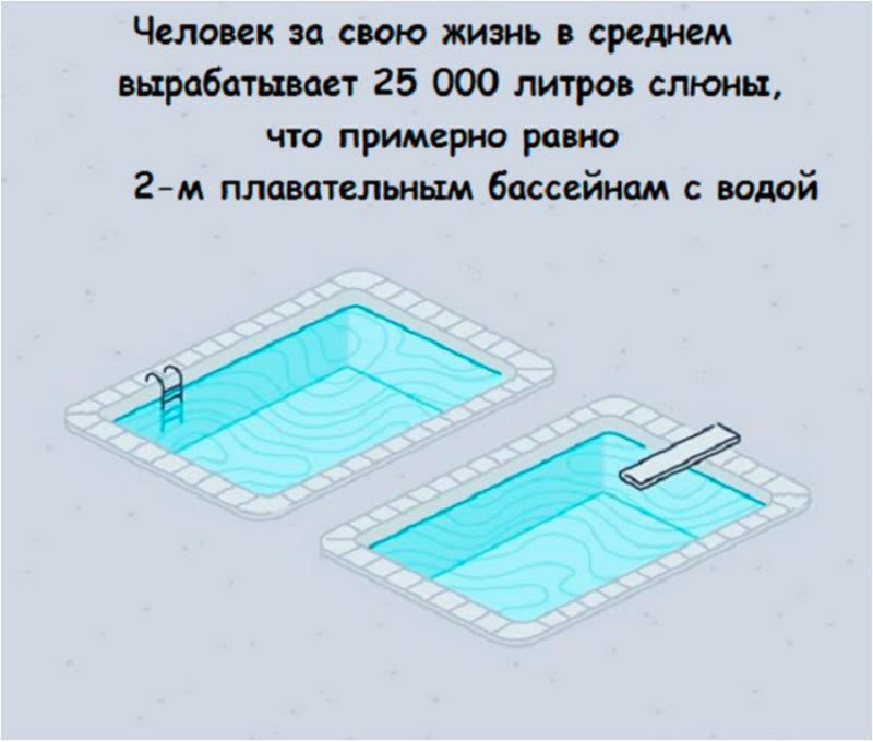 Интересные факты в картинках