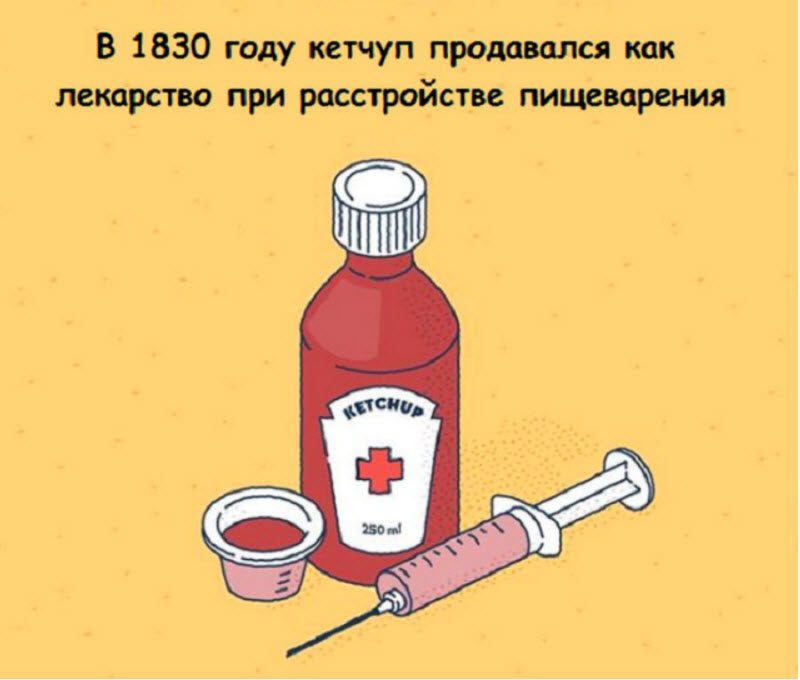 Интересные факты в картинках