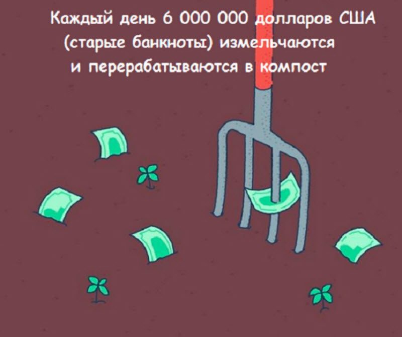 Интересные факты в картинках