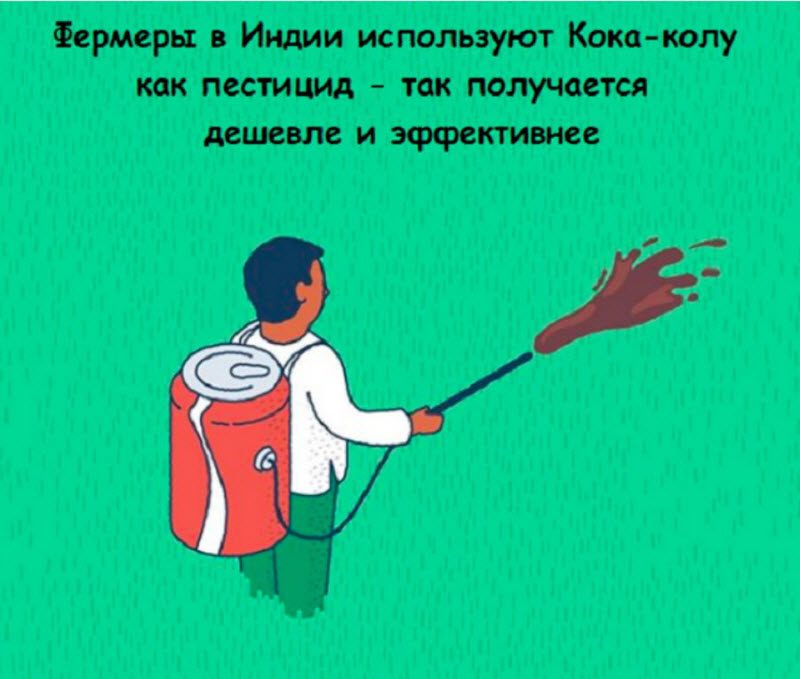 Интересные факты в картинках