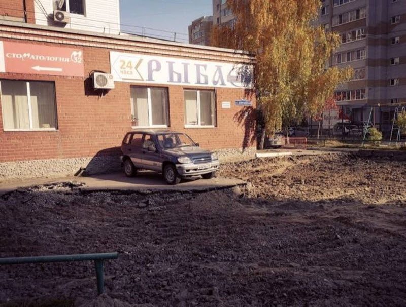 Прикольные картинки