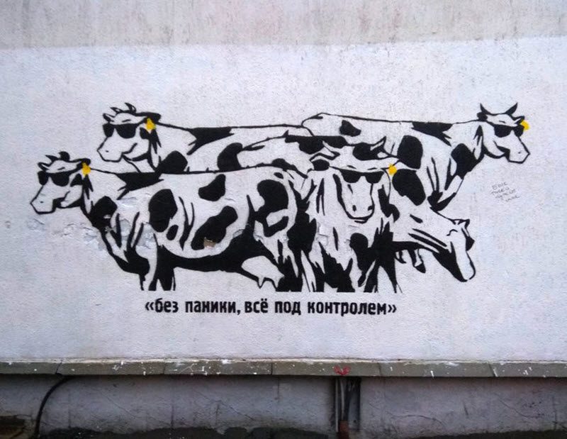 Прикольные картинки