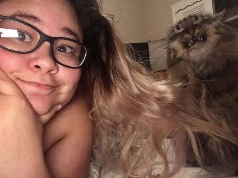 Прикольные картинки