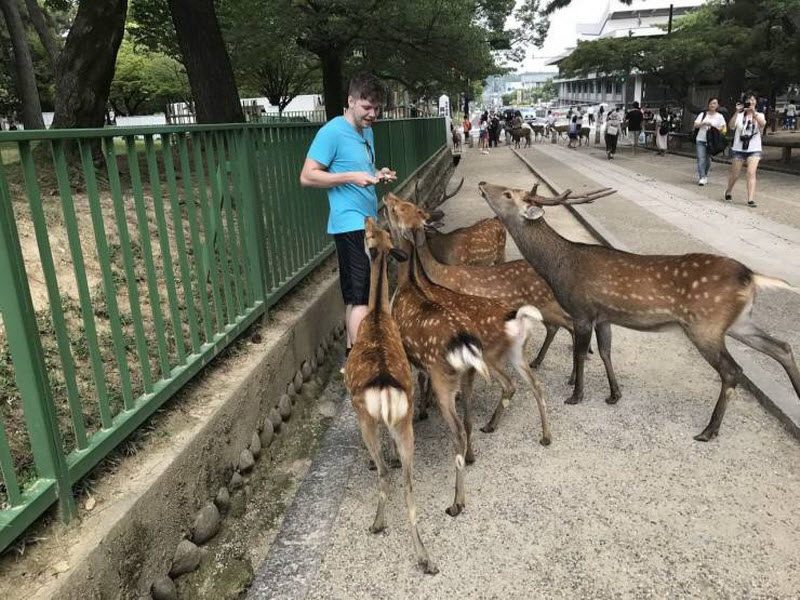 Прикольные картинки