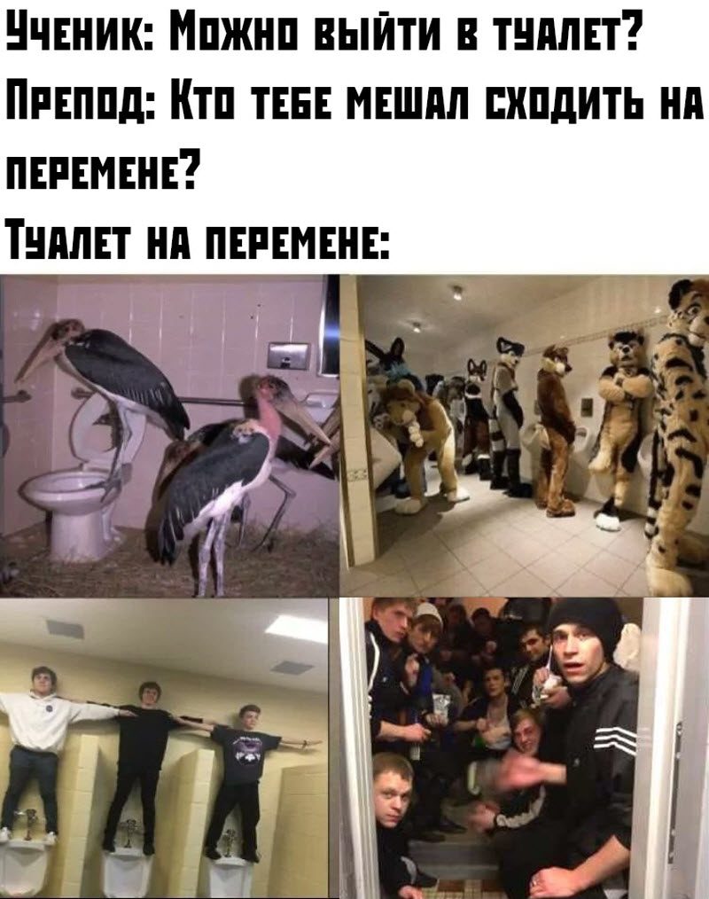 Прикольные картинки