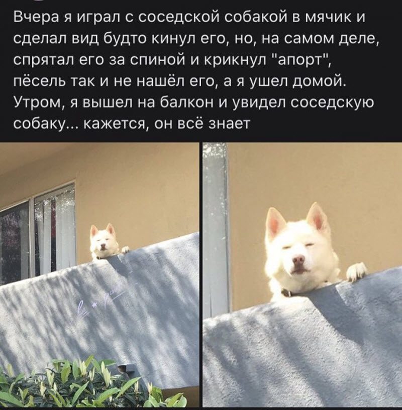 Прикольные картинки