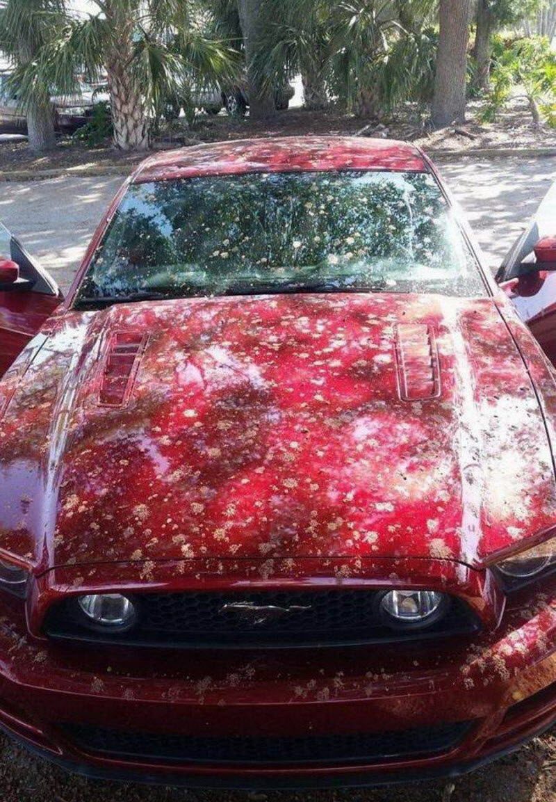 Бывают в жизни огорчения