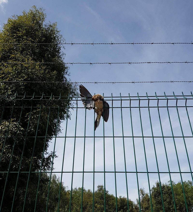 Бывают в жизни огорчения