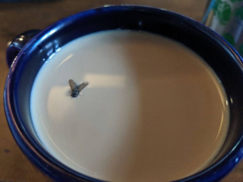 Бывают в жизни огорчения