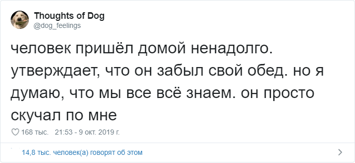 Мысли собаки: странный и милый аккаунт в Твиттере