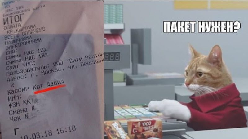 Прикольные картинки