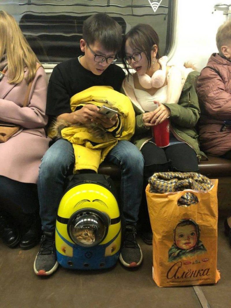 Прикольные картинки