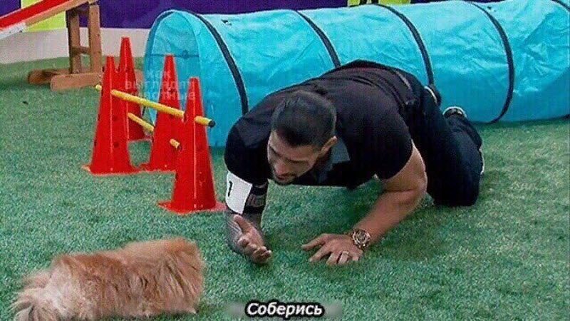 Прикольные картинки