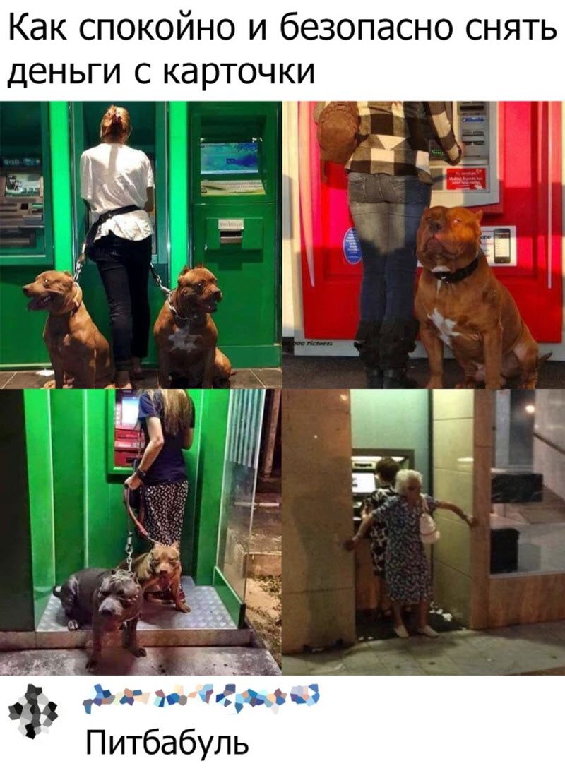 Прикольные картинки