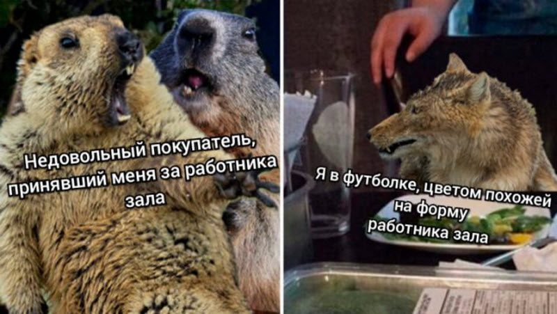 Прикольные картинки