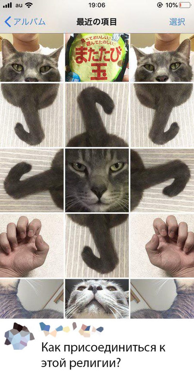 Прикольные картинки