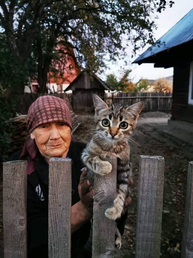 Прикольные картинки