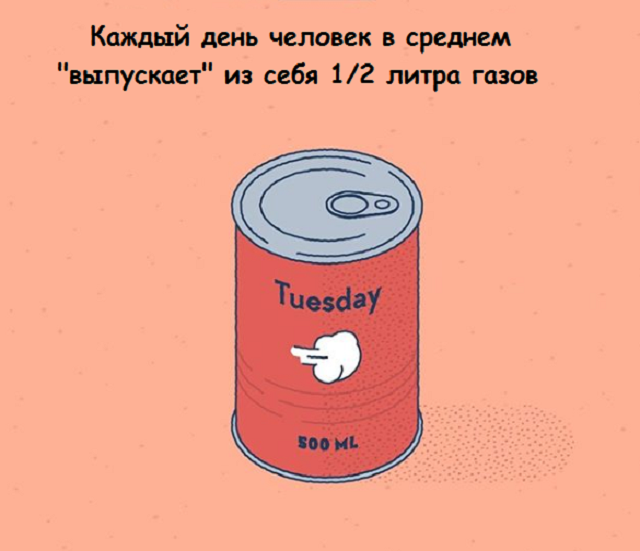 Новая подборка веселых картинок с занятными фактами обо всем на свете