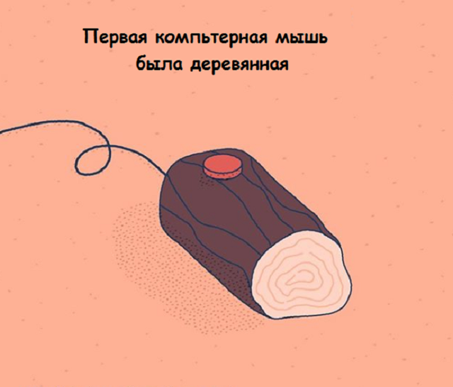 Новая подборка веселых картинок с занятными фактами обо всем на свете