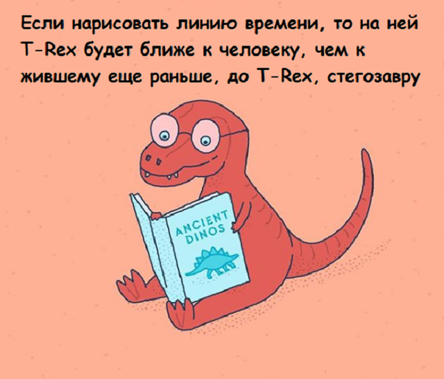 Новая подборка веселых картинок с занятными фактами обо всем на свете