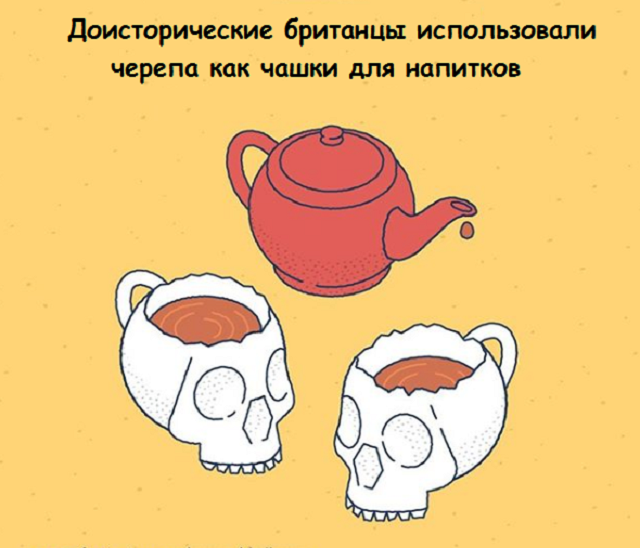 Новая подборка веселых картинок с занятными фактами обо всем на свете