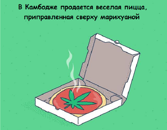 Новая подборка веселых картинок с занятными фактами обо всем на свете
