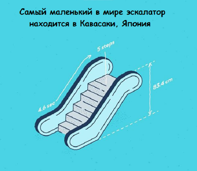 Новая подборка веселых картинок с занятными фактами обо всем на свете