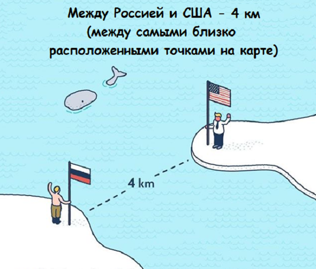 Новая подборка веселых картинок с занятными фактами обо всем на свете