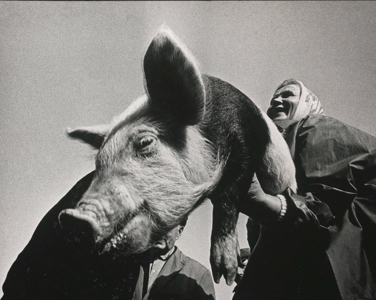 Самые дорогостоящие советские фотографии Самые дорогостоящие советские фотографии