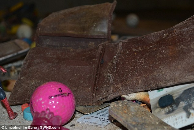 Неожиданные вещи, которые смывают в унитаз Неожиданные вещи, которые смывают в унитаз